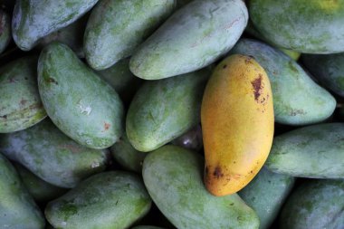 Mango.