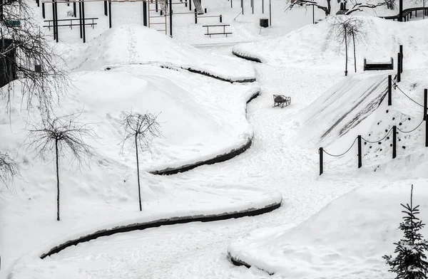Minimalistisches Bild des verschneiten Teils des Parks mit Blick auf den Spielplatz unter dem Schnee — Stockfoto