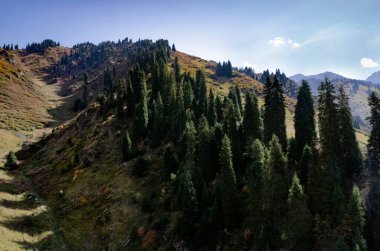 Tien Shan dağlarının yamaçlarında Zailiysky Alatau sırtı Almaty ve Shimbulak kayak merkezi yakınlarında..