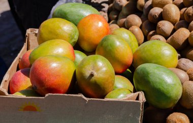 very beautiful mango lies in a cardboard box along with kiwi.