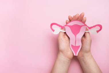 Kadın sağlığı, jinekoloji ve üreme sistemi konsepti. Kadın elleri pembe arka planda dekoratif model uterusu tutuyor. Üst görünüm, alanı kopyala
