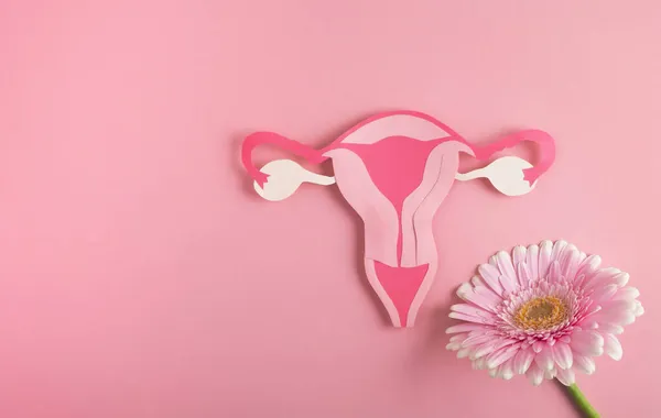 妇女健康 生殖系统概念 装饰模型子宫和花在粉红色的背景 顶部视图 复制空间 — 图库照片