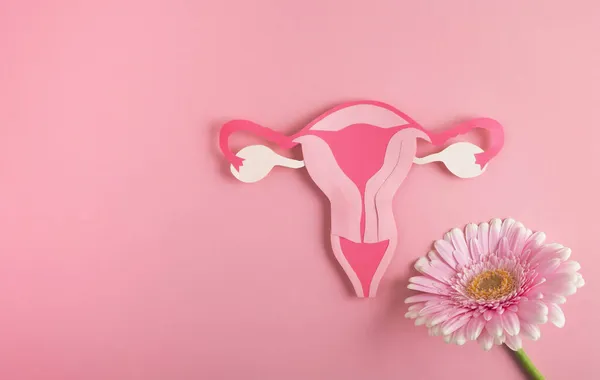 Kadın sağlığı, üreme sistemi konsepti. Dekoratif model rahim ve pembe arka planda çiçek. Üst görünüm, alanı kopyala