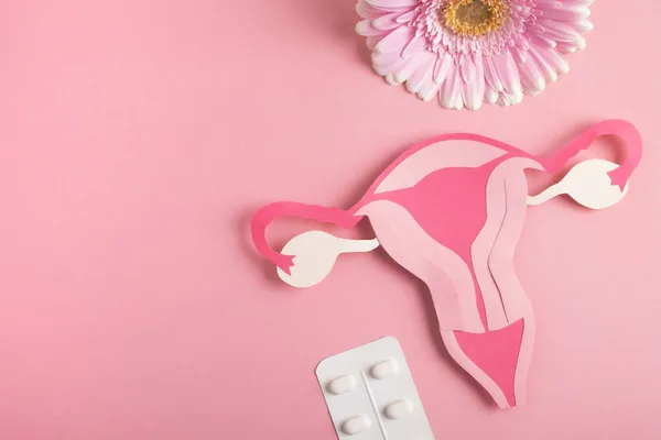Saúde Mulher Conceito Sistema Reprodutivo Modelo Decorativo Útero Pílulas Flor — Fotografia de Stock