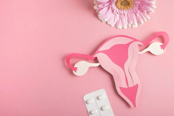 Kadın sağlığı, üreme sistemi konsepti. Dekoratif model rahim, haplar ve pembe arka planda çiçek. Üst görünüm, alanı kopyala