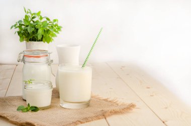 Mayalanmış süt ürünleri, yoğurt ve kefir hazırlamak için mandıra kültürü, beyaz ahşap arka planda bir bardakta fotokopi alanı ile birlikte.