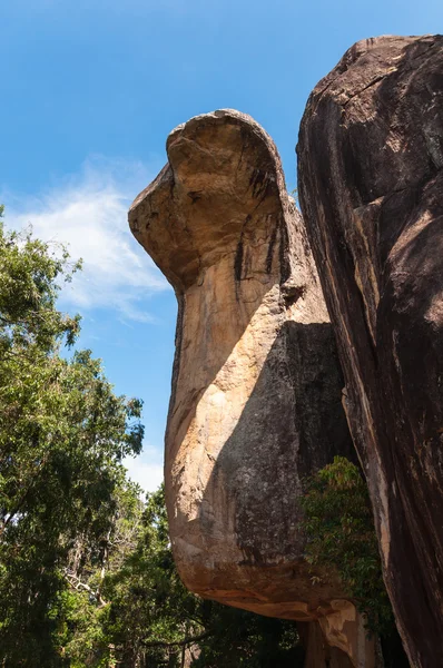 Cobra şeklinde kaya — Stok fotoğraf