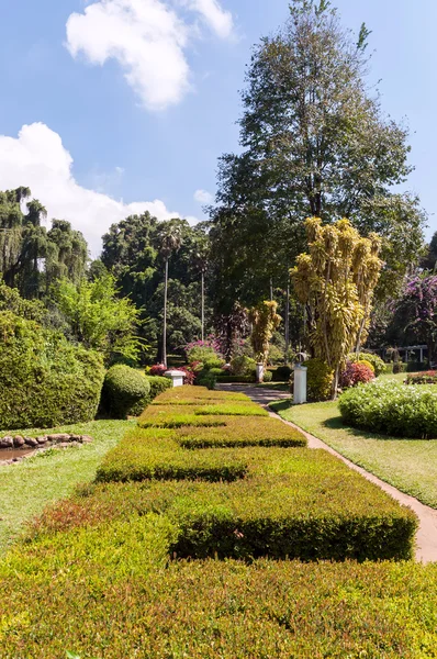Królewskie ogrody botaniczne, peradeniya — Zdjęcie stockowe