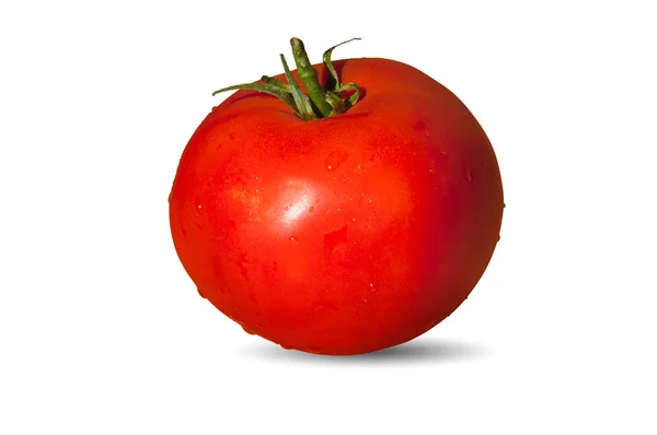 Tomaten — Stockfoto