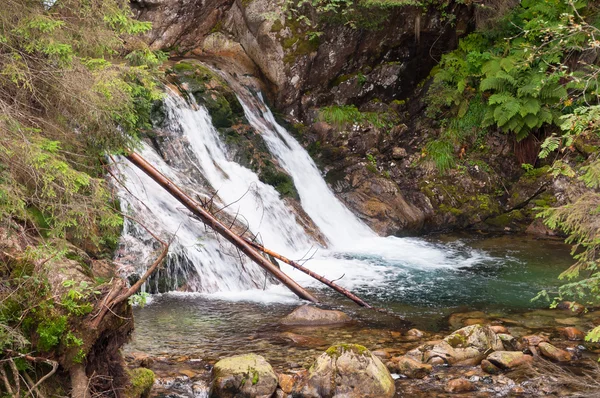 Waterfall in the mountains. — Stock Photo, Image