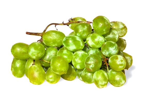 Uvas — Fotografia de Stock