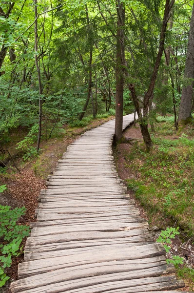 Holzweg — Stockfoto