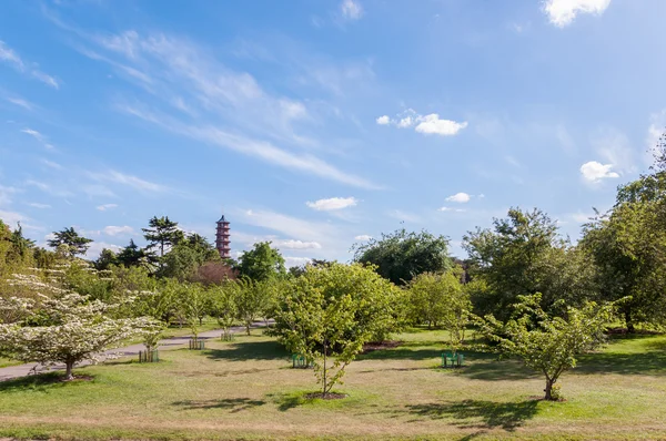 Ağaçlar, sokak ve pagoda — Stok fotoğraf