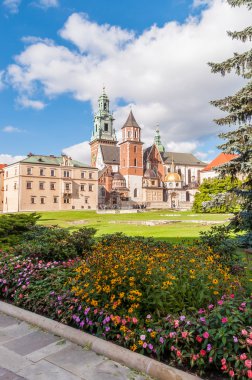 Wawel cathedral in Krakow clipart