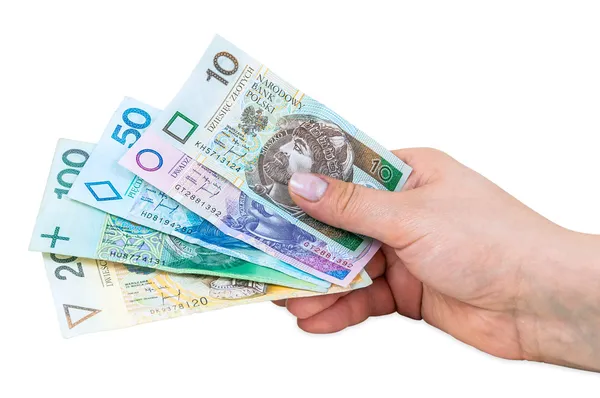 Рука тримає польські банкноти — стокове фото
