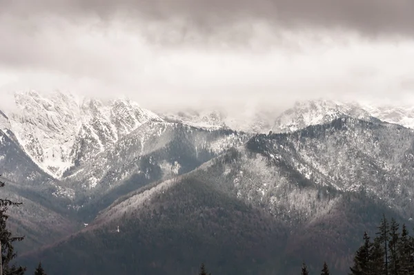 Zakopane, Polonya Tatra Dağları — Stok fotoğraf