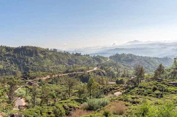 Paisagem montanhosa do Sri Lanka — Fotografia de Stock