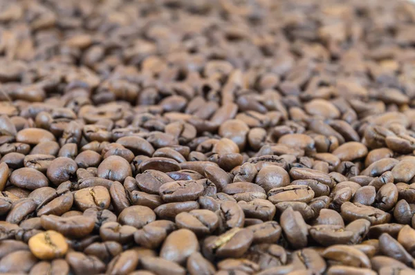 Background made of coffee beans — Stock Photo, Image