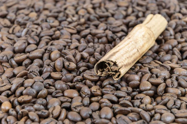 Coffee beans and cinnamon stick — Stock Photo, Image