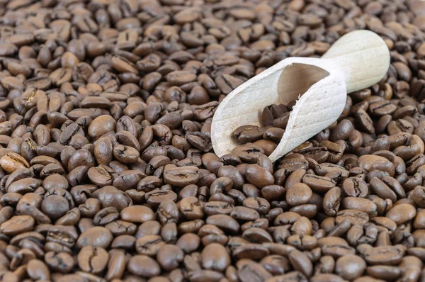 Coffee beans and wooden shovel — Stock Photo, Image