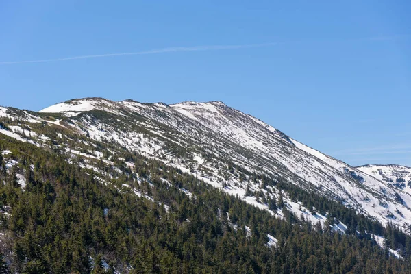 Babia Gora Nın Polonya Slovakya Sınırında Diablak Zirvesi — Stok fotoğraf