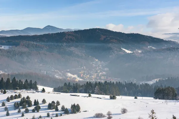 波兰Krynica Zdroj附近Beski Sadecki山脉冬季多雾景观 免版税图库照片