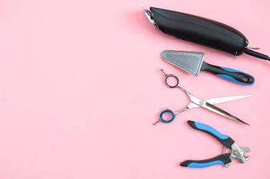 Pembe arka planda hayvan bakımı ve bakım aletleri. Hayvan bakımı ve hijyen konsepti. Boşluğu kopyala, metin için yer belirle. maket yap