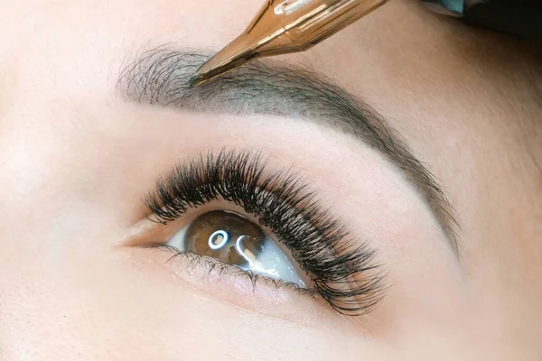 Beautician Makes Permanent Eyebrow Makeup Face Beautiful Young Woman Permanent — Stock Photo, Image