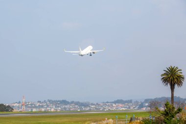 Bir Coruna-İspanya. 30 Mart 2022 'de A Corua' da palmiye ağaçlarının yanından geçen Vueling havaalanı uçağı havalanıyor.