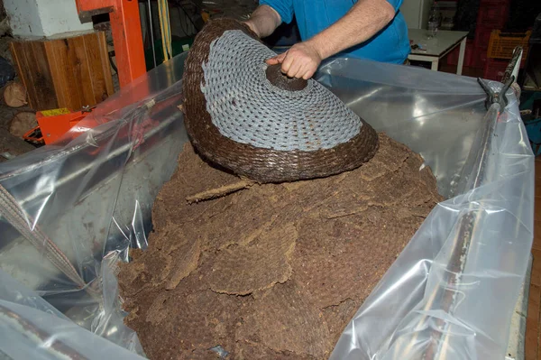 Zeytin yağı çıkarma sürecindeki ezilmiş macundan kaynaklanan materyal