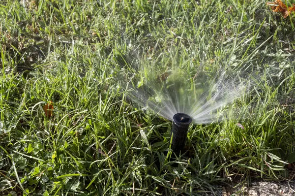 Sistema Irrigação Por Aspersão Pulverizando Jatos Água Lei Verde — Fotografia de Stock