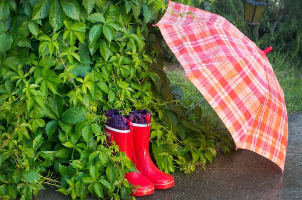 Gumboots and umbrella — Stock Photo, Image