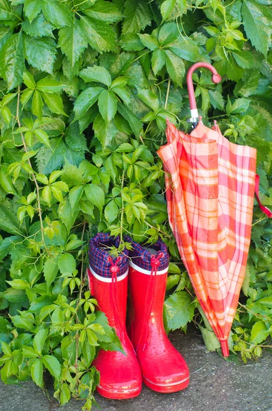 Gummistiefel und Regenschirm — Stockfoto