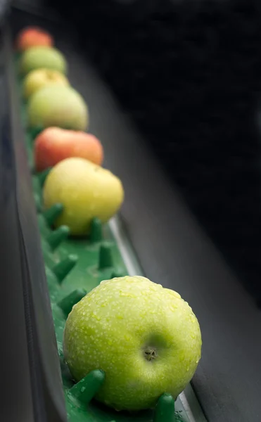 Apple conveyor belt — Stock Photo, Image
