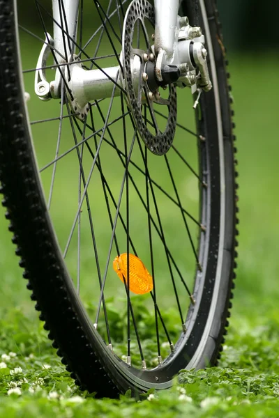 Bicycle wheel — Stock Photo, Image