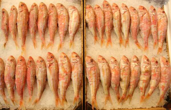 Fish market — Stock Photo, Image