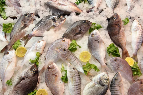 Fish market — Stock Photo, Image