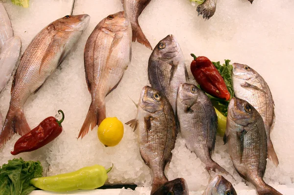 Fish market — Stock Photo, Image