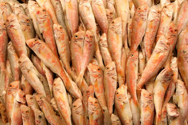 Fish market — Stock Photo, Image