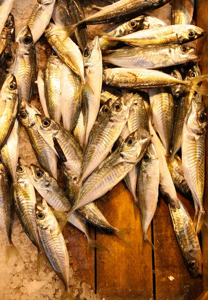 Fischmarkt — Stockfoto