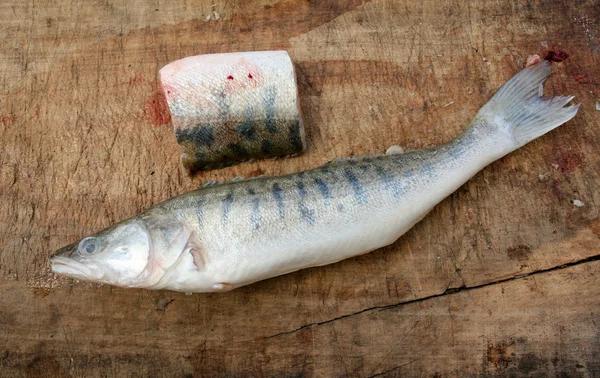 Fish preparation — Stock Photo, Image