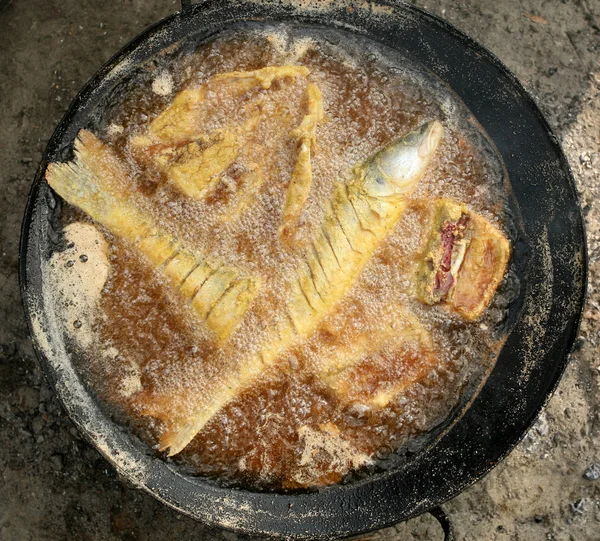 Fischsuppe — Stockfoto