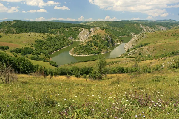 River Uvac — Stock Photo, Image