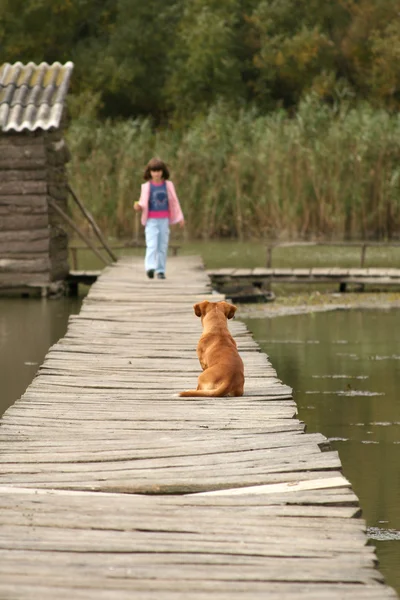 Fille avec chien — Photo