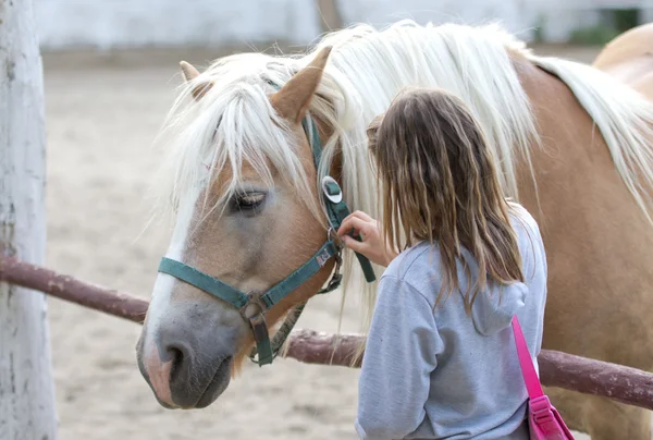 Girl with horse — Stock Photo, Image