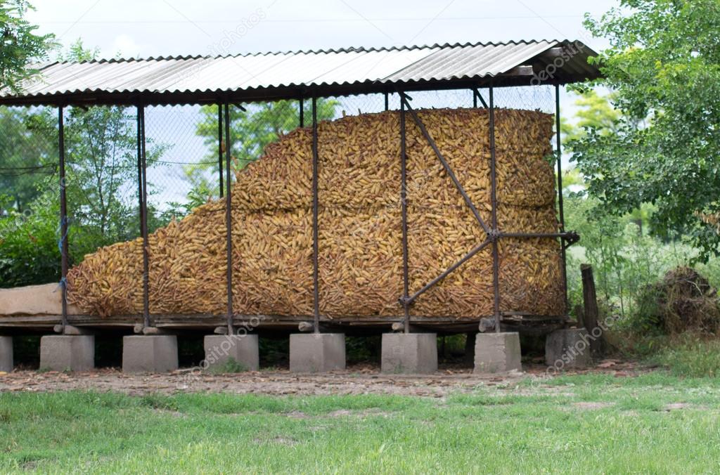 Storage for corncobs