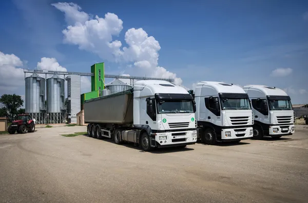 Camions blancs garés — Photo