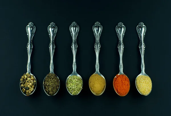 Spezie in cucchiai — Foto Stock