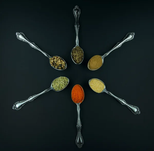 Spices in spoons — Stock Photo, Image