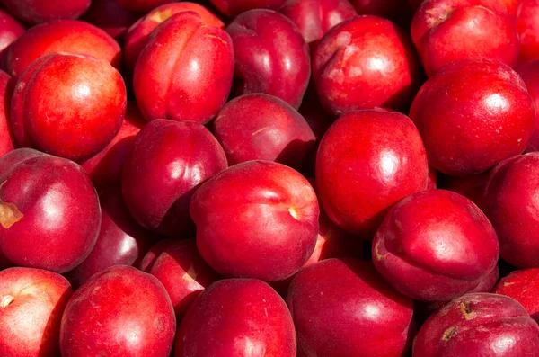 Nectarine — Stockfoto